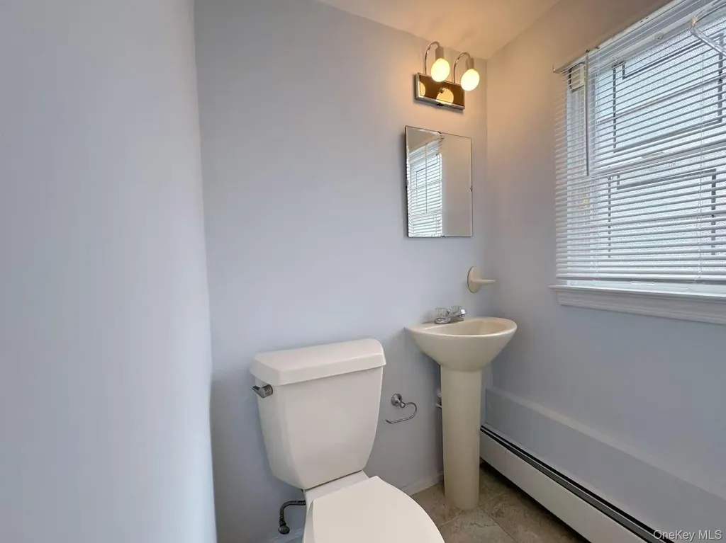 114 Celia Drive Jericho NY 11753
