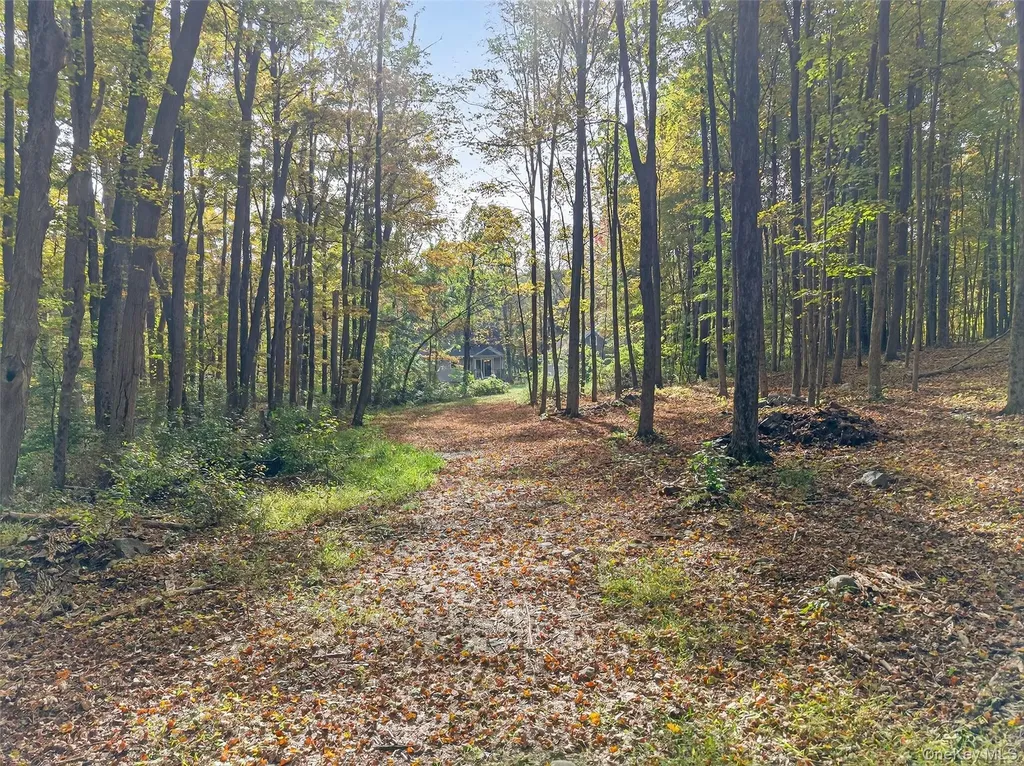 15 Nelson Road Monroe NY 10950
