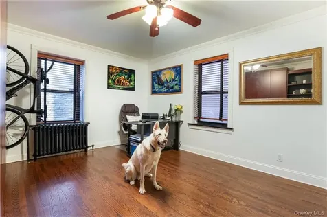 10 Nosband Avenue White Plains NY 10605