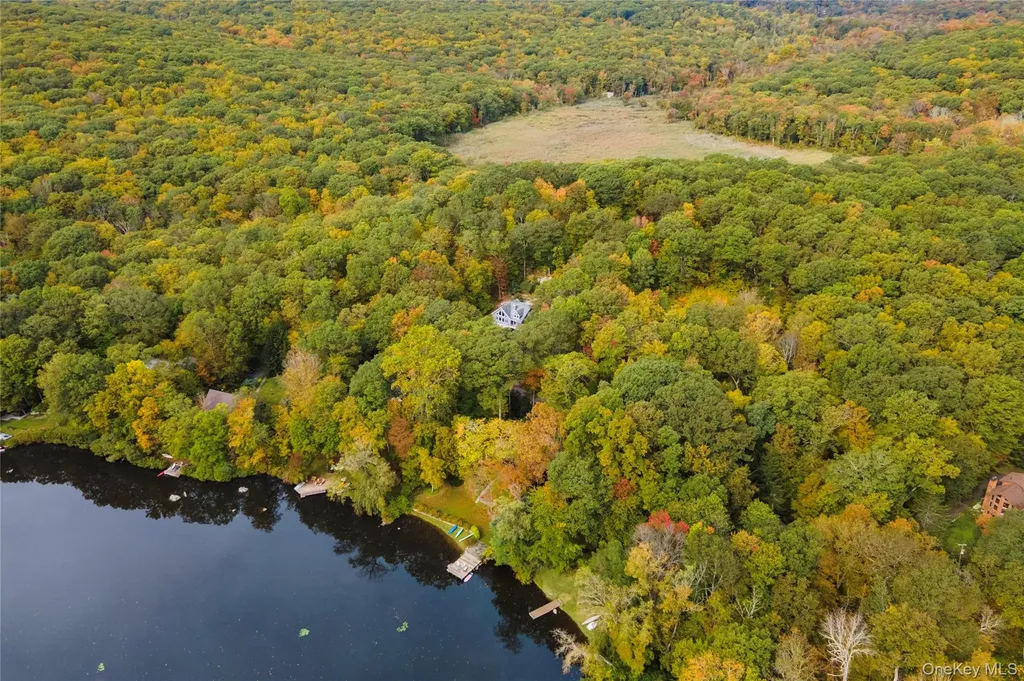 99 Old Forge Drive Carmel NY 10512