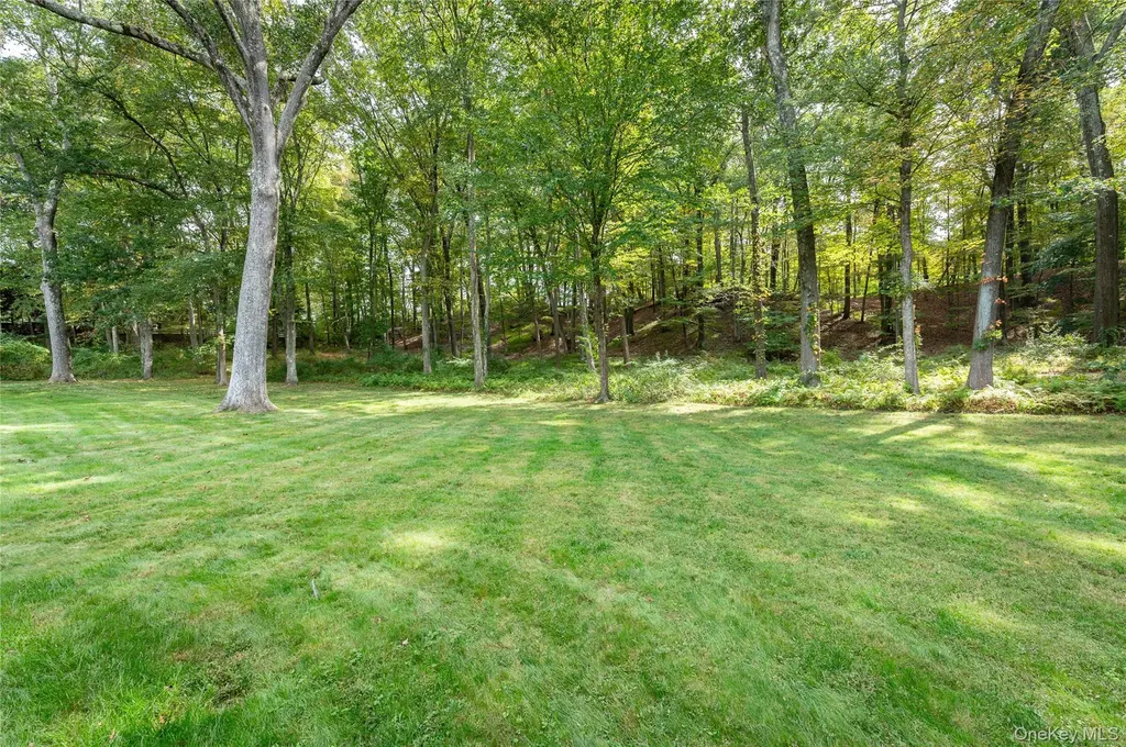 28 Alice Road Mount Kisco NY 10549