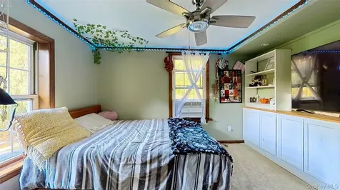 10 Stagecoach Lane Amenia NY 12501