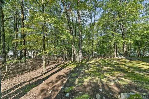 75 Pebble Path Rock Hill NY 12775