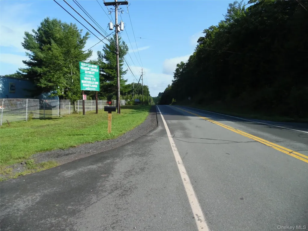 85 Kaufman Other NY 12701