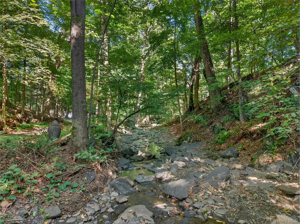 331 Mountain Lodge Road Blooming Grove NY 10914