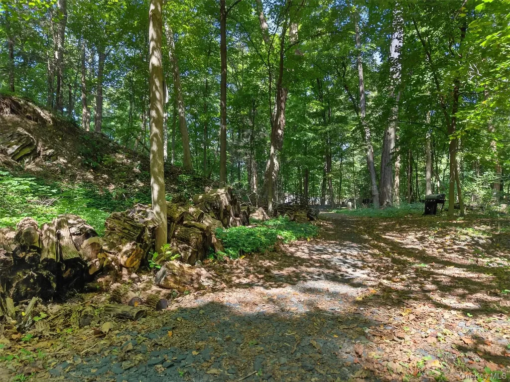 331 Mountain Lodge Road Blooming Grove NY 10914