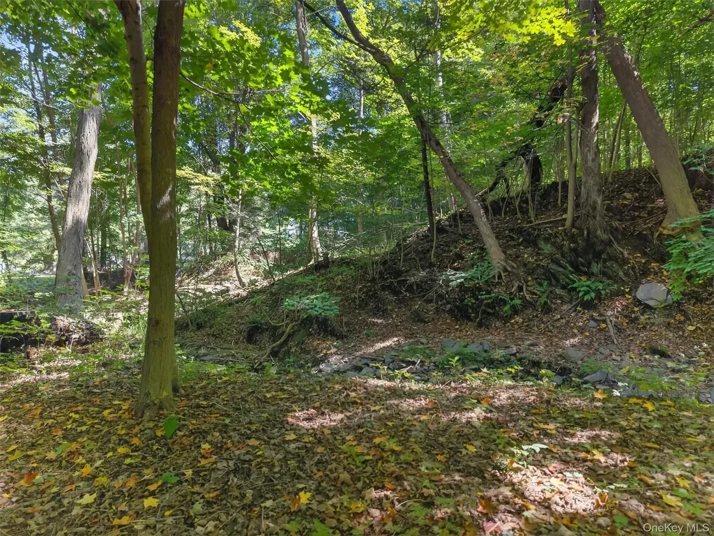 331 Mountain Lodge Road Blooming Grove NY 10914