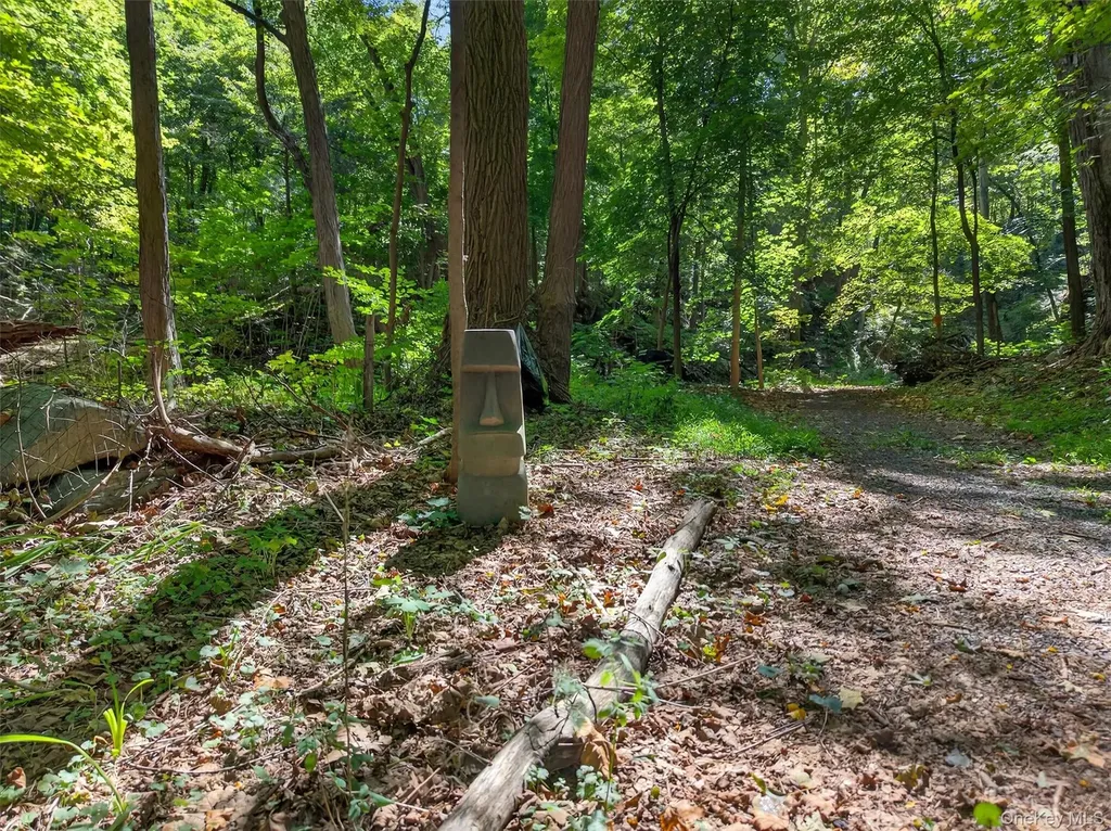 331 Mountain Lodge Road Blooming Grove NY 10914