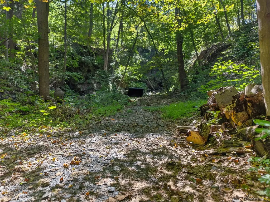 331 Mountain Lodge Road Blooming Grove NY 10914