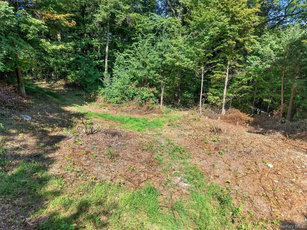 331 Mountain Lodge Road Blooming Grove NY 10914