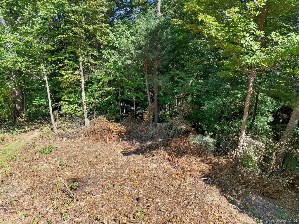 331 Mountain Lodge Road Blooming Grove NY 10914