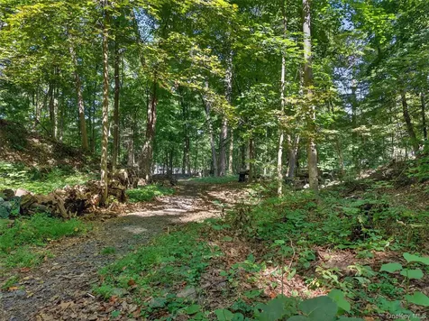 331 Mountain Lodge Road Blooming Grove NY 10914