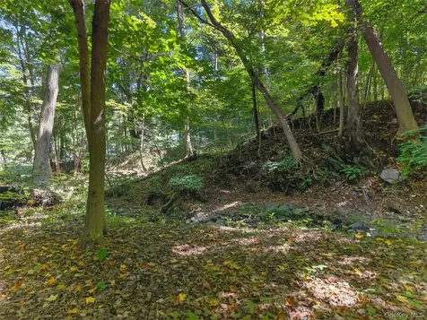 331 Mountain Lodge Road Blooming Grove NY 10914