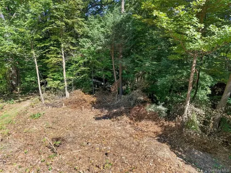 331 Mountain Lodge Road Blooming Grove NY 10914