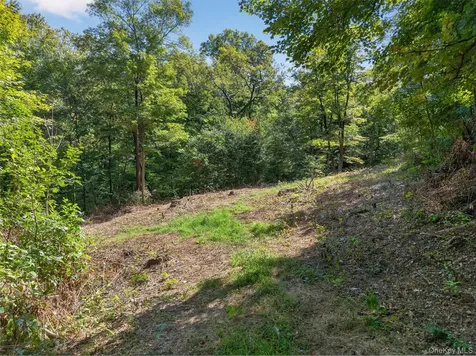 331 Mountain Lodge Road Blooming Grove NY 10914