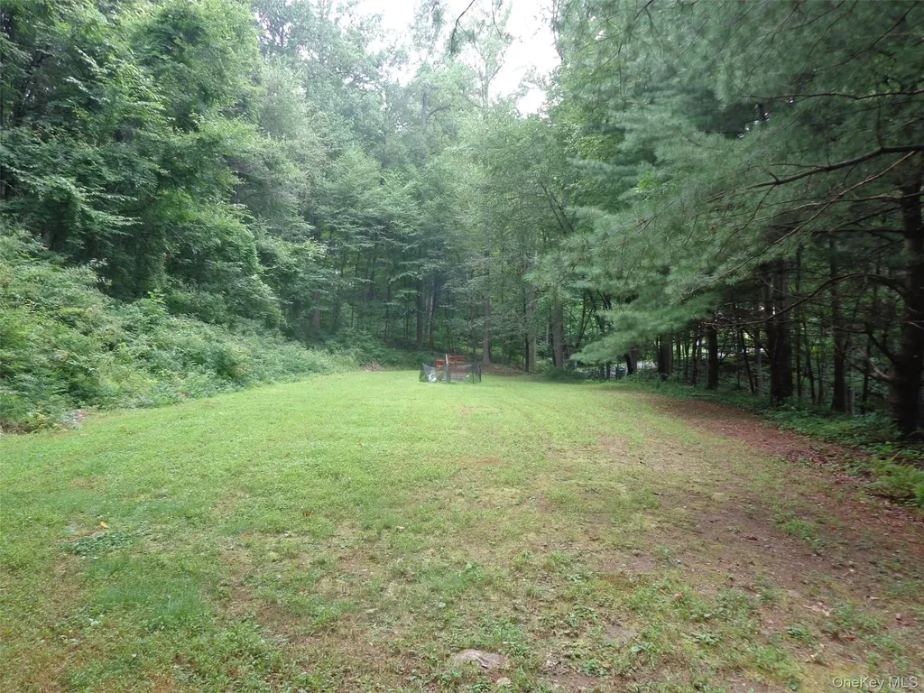 65 Mexico Lane Mahopac NY 10541