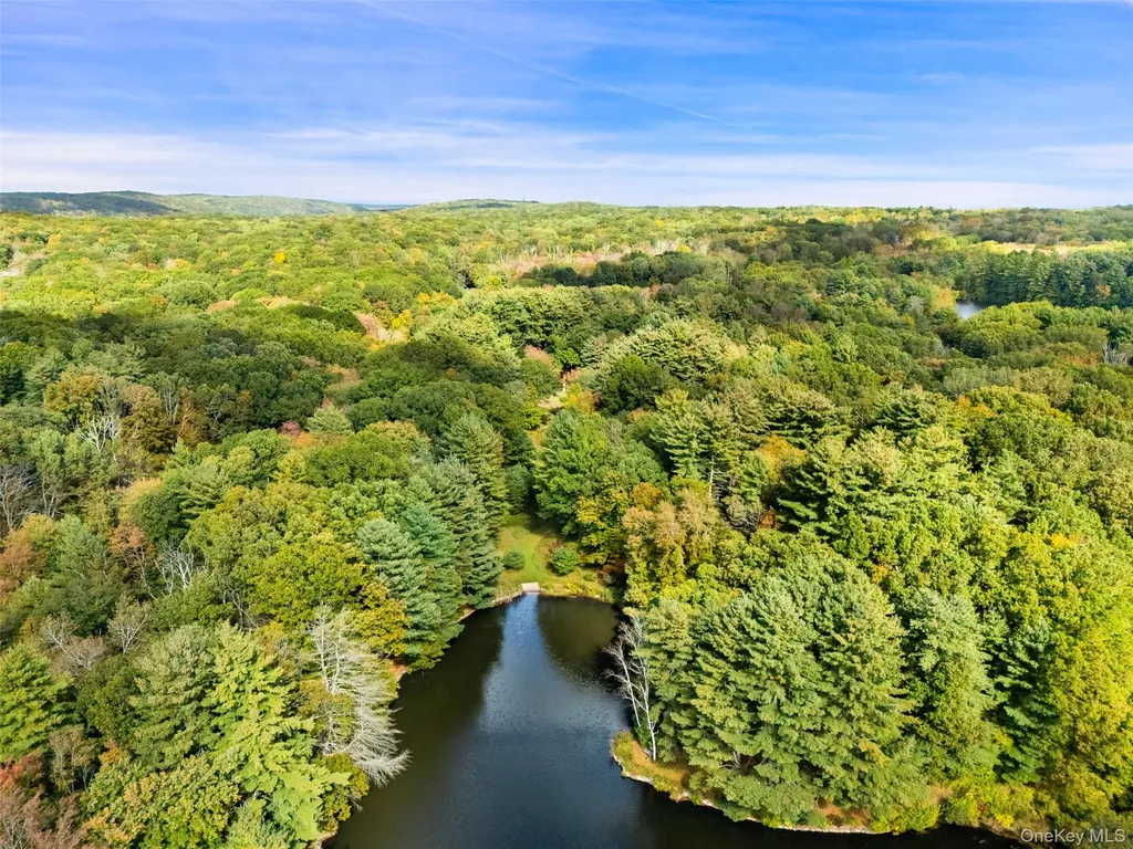 9 Old Corner Road Bedford NY 10506