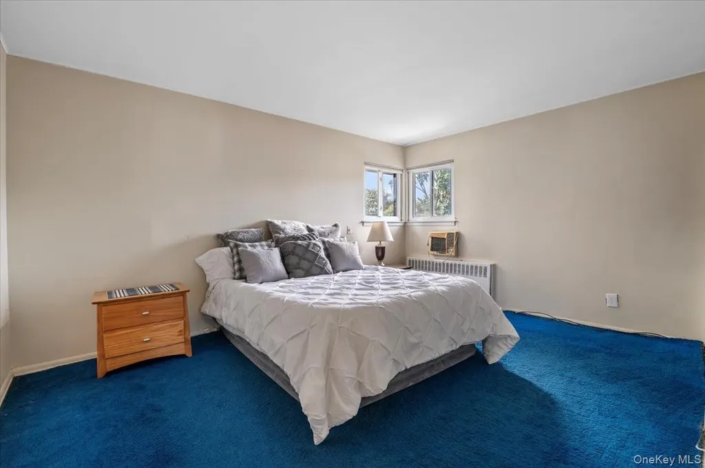 15 Alma Lane Plainview NY 11803