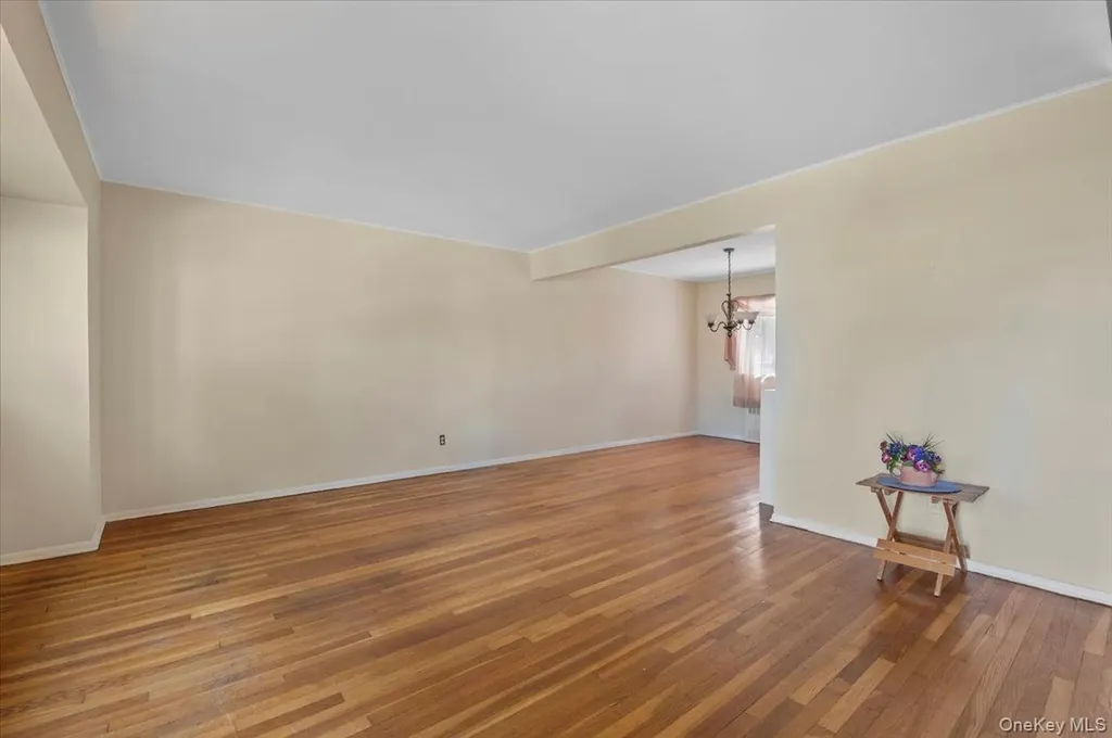 15 Alma Lane Plainview NY 11803