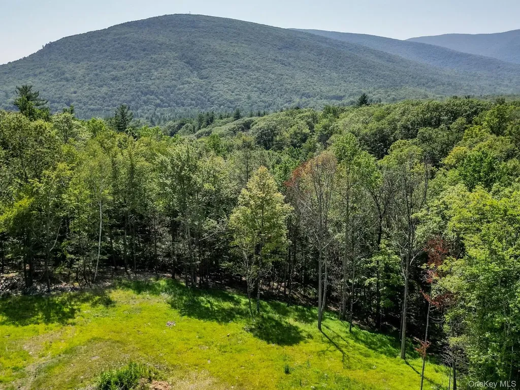 61 Hillside Drive Shokan NY 12494