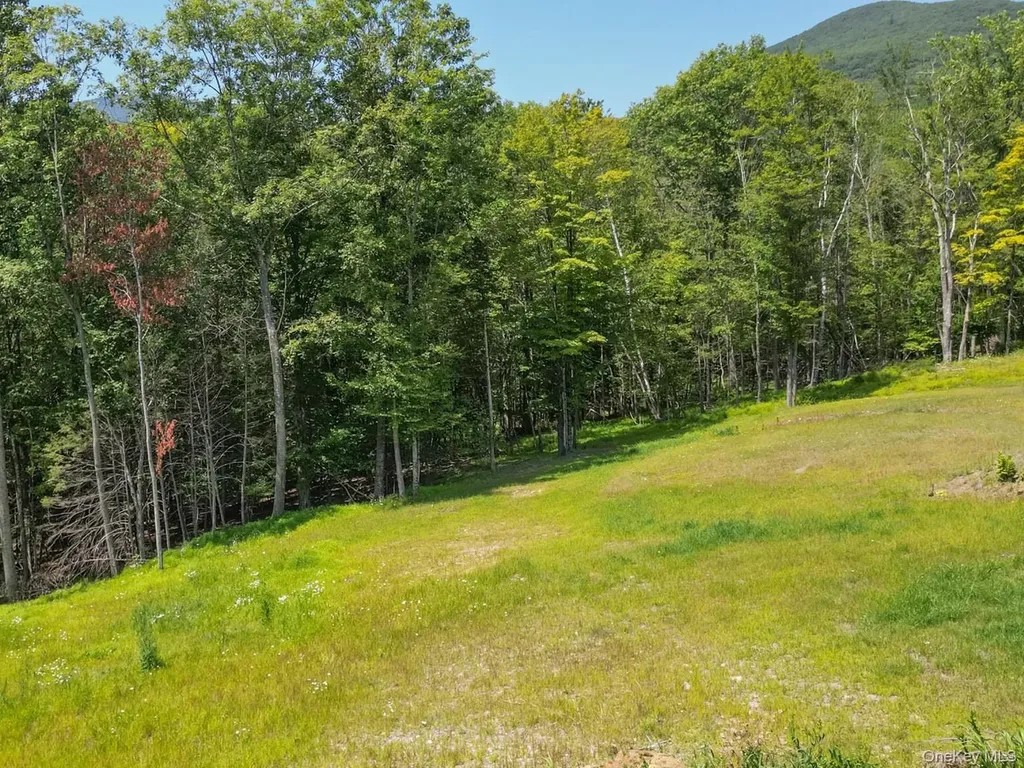 61 Hillside Drive Shokan NY 12494