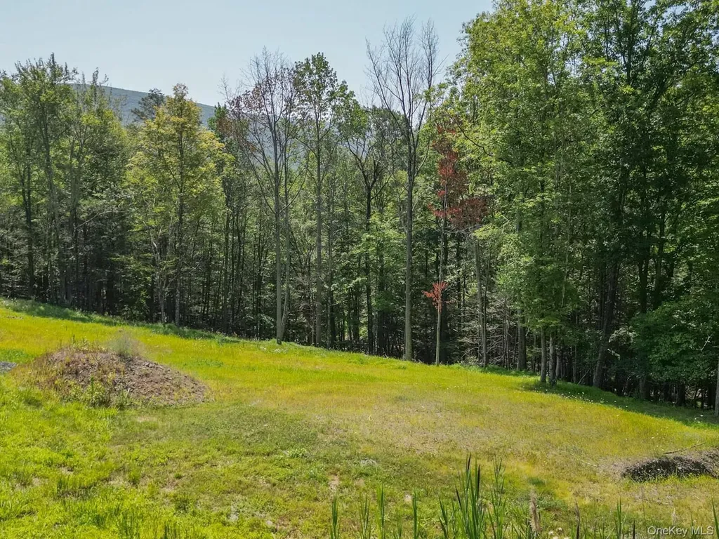 61 Hillside Drive Shokan NY 12494