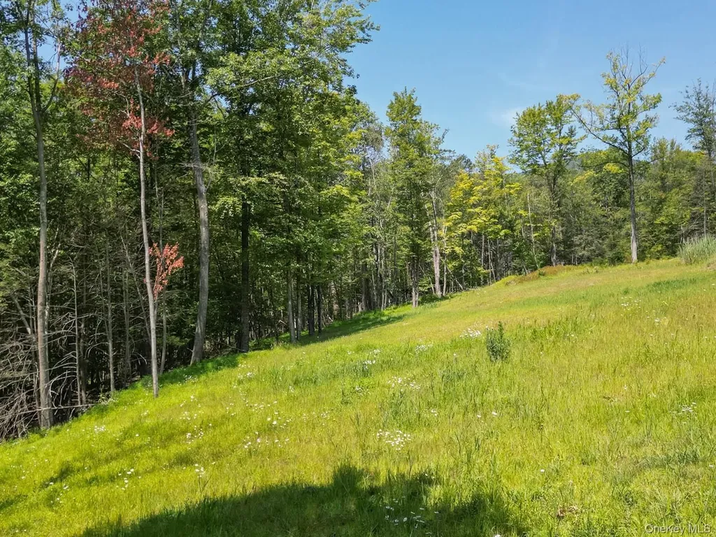 61 Hillside Drive Shokan NY 12494