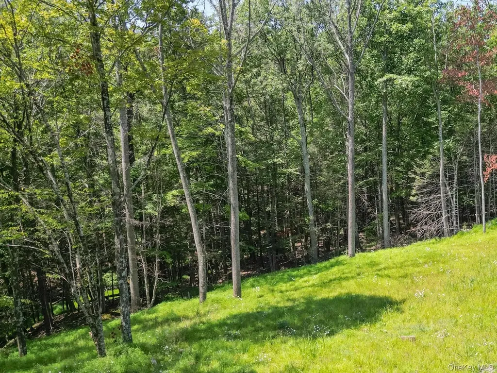 61 Hillside Drive Shokan NY 12494