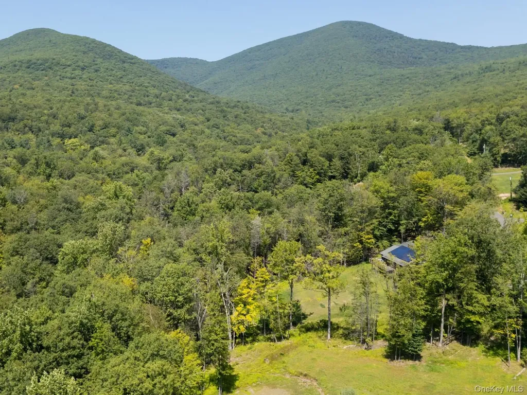 61 Hillside Drive Shokan NY 12494