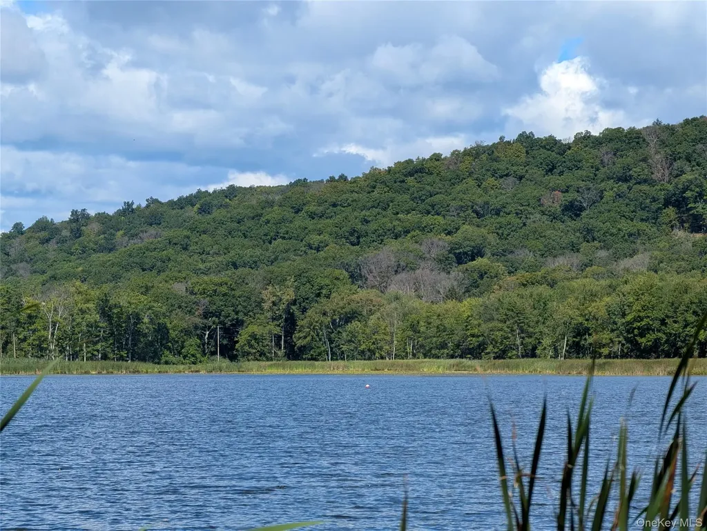 66, 333, Cr-27 Copake NY 12516