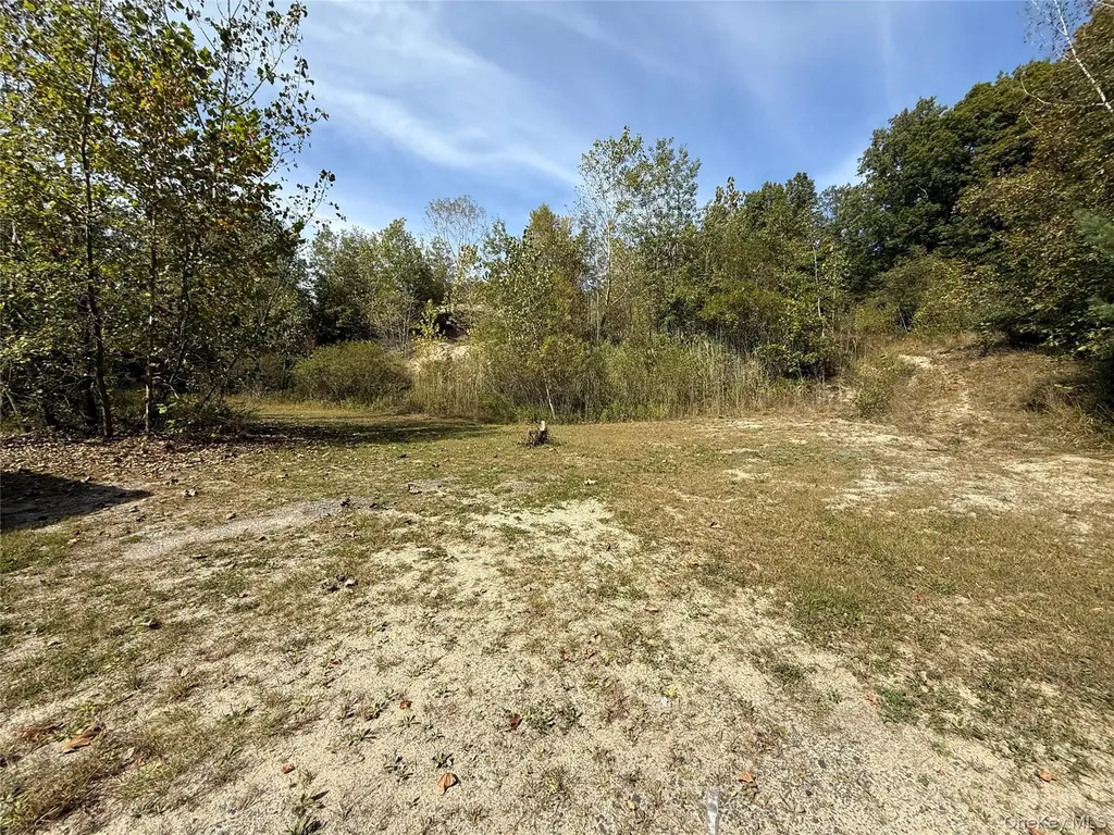 14 Shannon Lane Pine Bush NY 12566