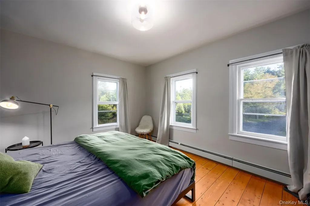 3 Leon Macglashan Road Windham NY 12496