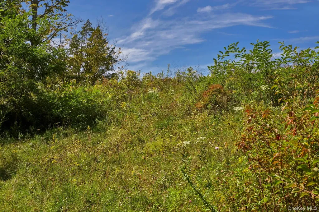 Mill Road Rhinebeck NY 12572