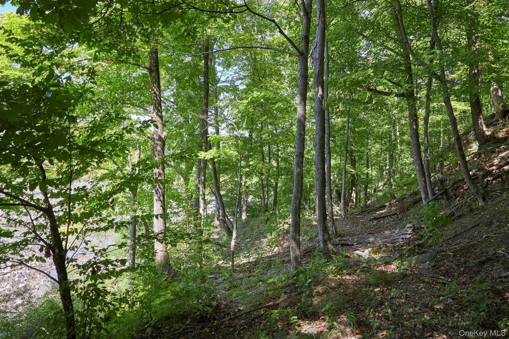 Mill Road Rhinebeck NY 12572