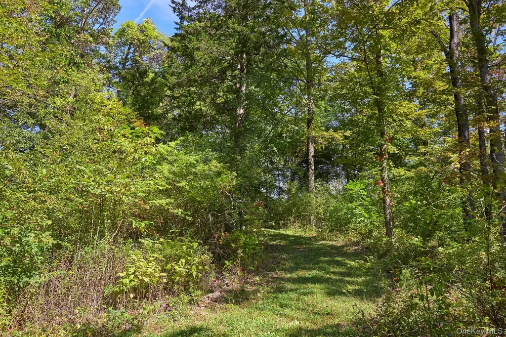 Mill Road Rhinebeck NY 12572