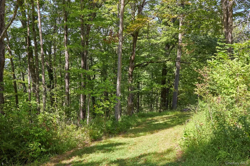 Mill Road Rhinebeck NY 12572