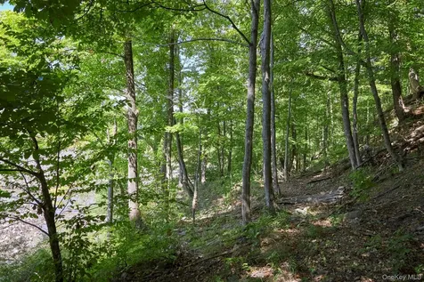 Mill Road Rhinebeck NY 12572