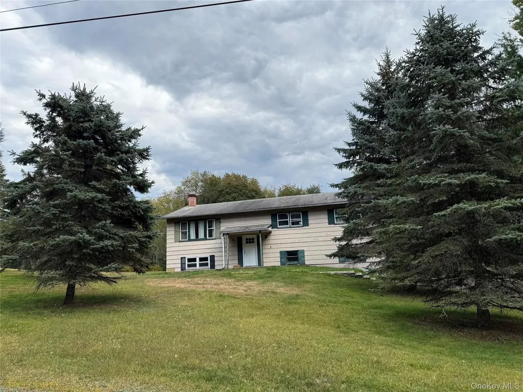 227 Dill Road Forestburgh NY 12777