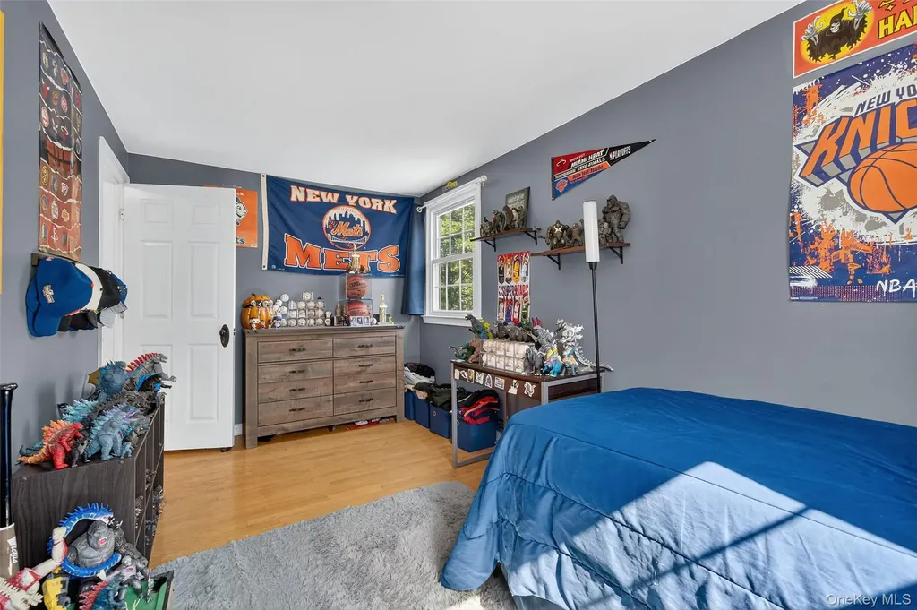 3 Mcbride Place Goshen NY 10924