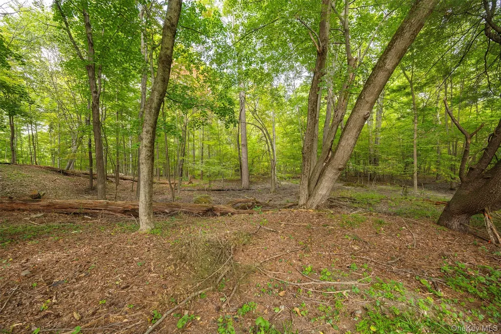 26 Hampton Road Poughkeepsie NY 12603