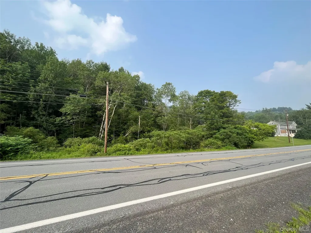 Hood Road Roscoe NY 12776