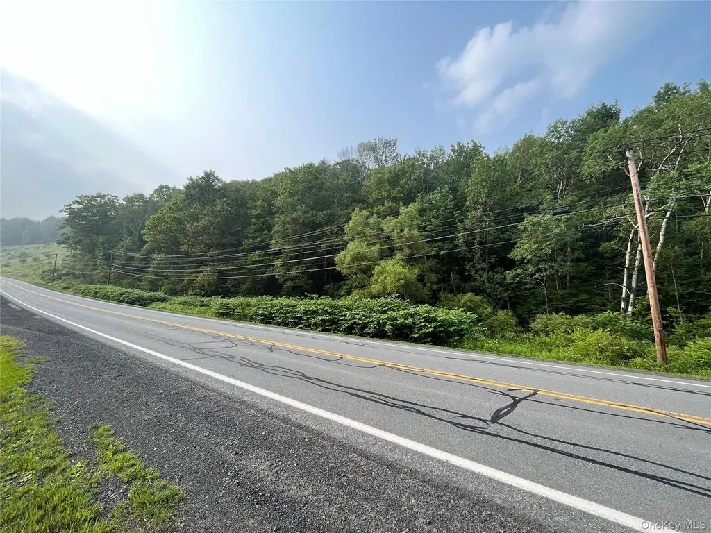 Hood Road Roscoe NY 12776