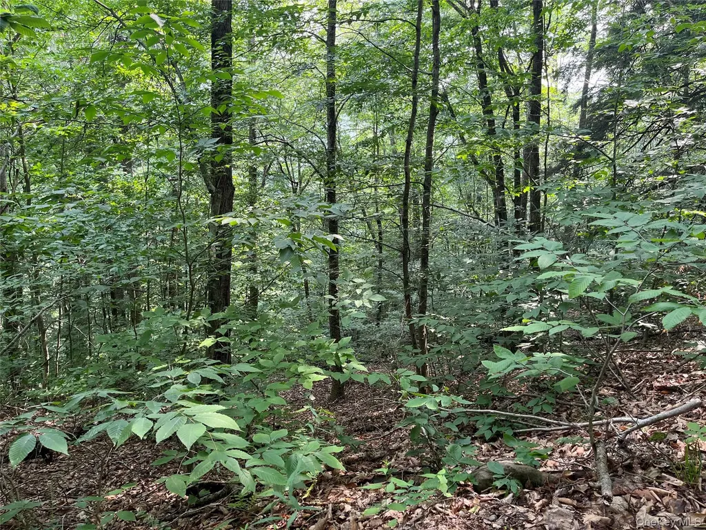 Hood Road Roscoe NY 12776