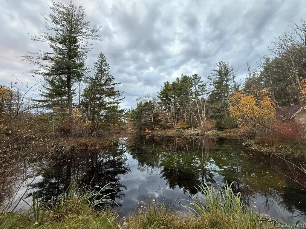 1122 County Route 31 Glen Spey NY 12737
