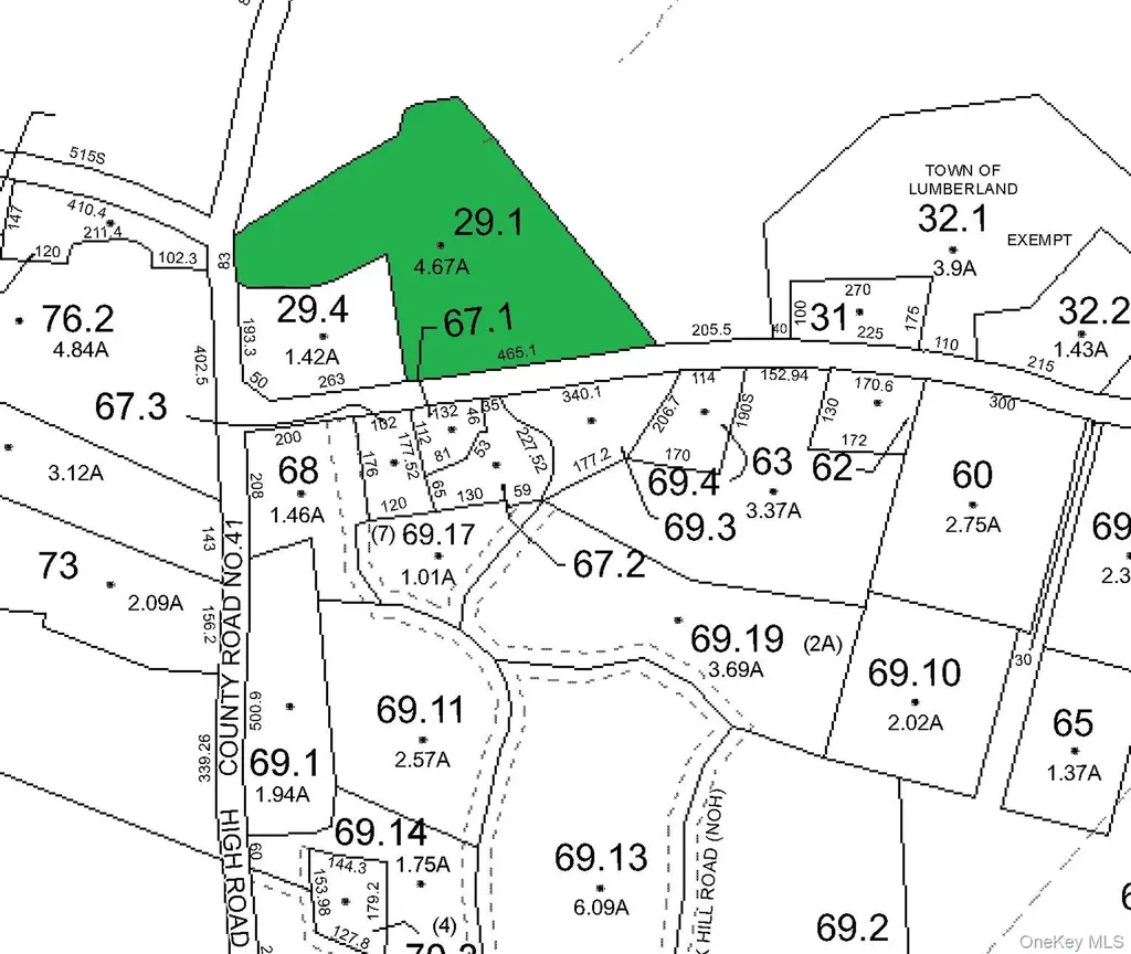 1122 County Route 31 Glen Spey NY 12737