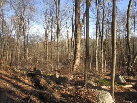 Brookside/bear Mountain Parkway Avenue Cortlandt Manor NY 10567