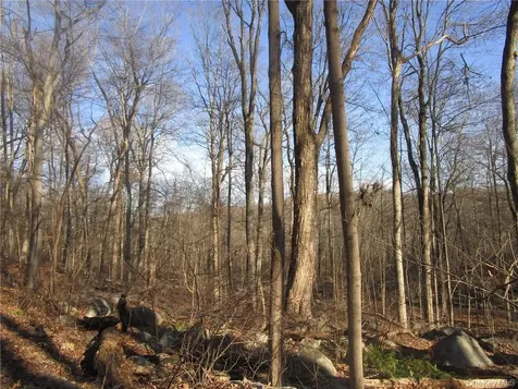 Brookside/bear Mountain Parkway Avenue Cortlandt Manor NY 10567