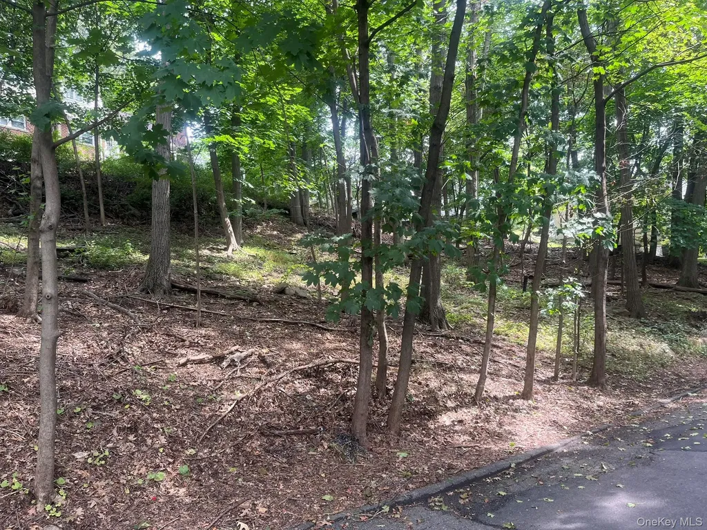 0 Springwood Avenue Ardsley NY 10502