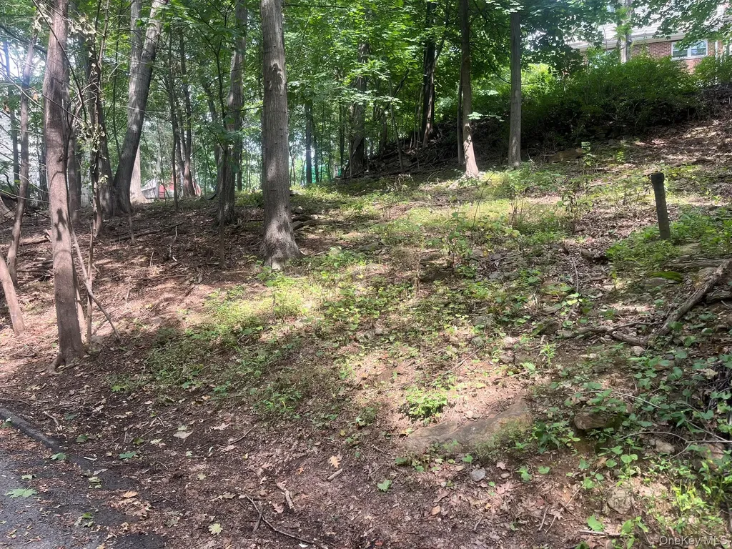 0 Springwood Avenue Ardsley NY 10502