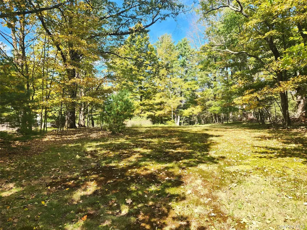 107 E Thompson Place Smallwood NY 12778